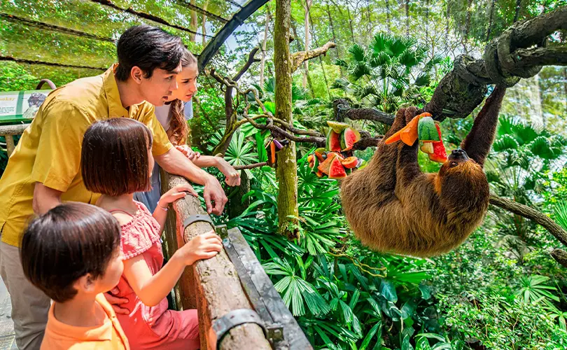 Singapore Zoo