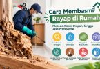 Membasmi Rayap di Rumah