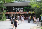 Singapore Zoo: Tempat Wisata Keluarga Pecinta Binatang