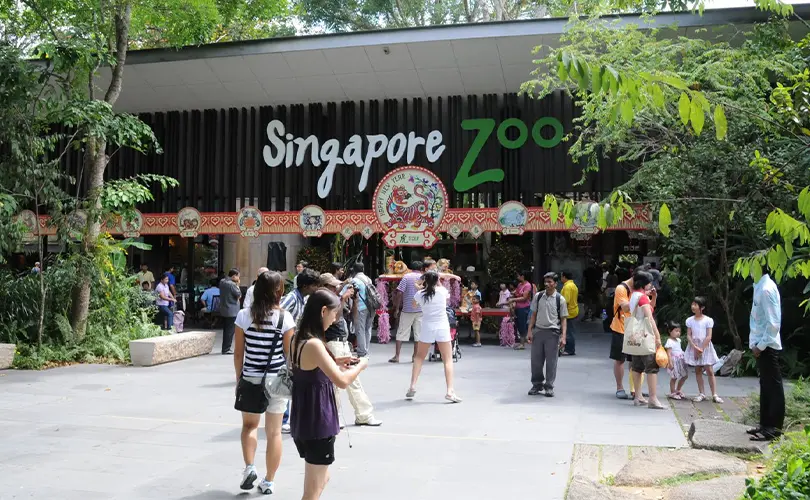 Singapore Zoo: Tempat Wisata Keluarga Pecinta Binatang