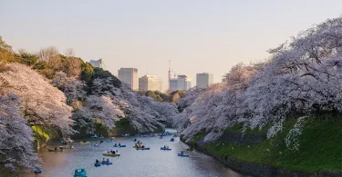 Wisata Halal di Jepang: Dari Kuliner hingga Fasilitas Mushola